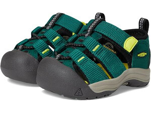(���) �L�[�� �L�b�Y �L�b�Y �j���[�|�[�g �G�C�`�c�[ (�g�h���[) KEEN Kids kids Newport H2 (Toddler) Aventurine/Evening Primrose