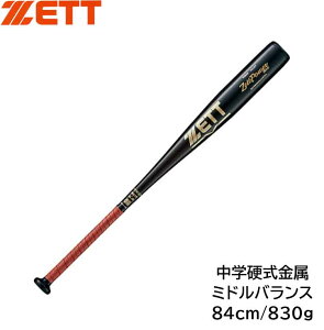 yZETTzwdobg@ZettPower 2nd ~hoX@83cmE820gρBAT20083-1900ykCE͔sz