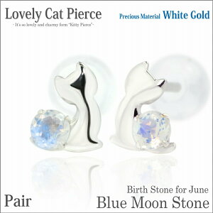 u[[Xg[ zCgS[h L sAX u[LbgsAX 6 a lR fourm NX}X Mtg Xmas Christmas fB[X Y j  bsO   a v