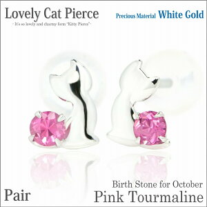 sNg} zCgS[h L sAX u[LbgsAX 10 a lR fourm NX}X Mtg Xmas Christmas fB[X Y j  bsO   a v[