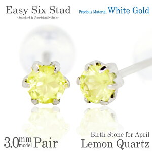 NH[c sAX K10 zCgS[h WG ^6{ p 3mm AM[ɗD fourm NX}X Mtg Xmas Christmas fB[X Y j  bsO   a v