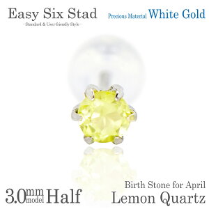 NH[c sAX K10 zCgS[h WG ^6{ Ўp 3mm AM[ɗD fourm NX}X Mtg Xmas Christmas fB[X Y j  bsO   a v