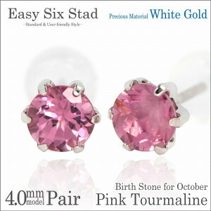 sNg} 10 a sAX p K10 zCgS[h ^6{ 4mm fB[X Y fourm NX}X Mtg Xmas Christmas j  bsO   a v[g P[