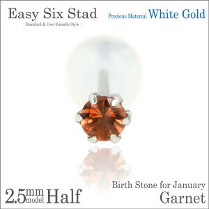 K[lbg sAX K10 zCgS[h WG Ўp ^6{ 2.5mm 1 a AM[ɗD fourm NX}X Mtg Xmas Christmas fB[X Y j  bsO   a