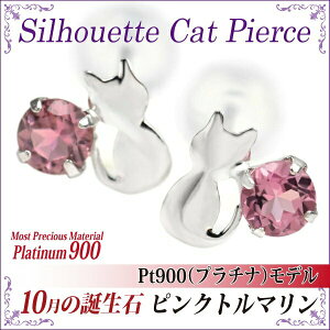 sNg} sAX v`i 10 a VGbgLbg  lR L  Pt900 fB[X Y AM[ɗD fourm NX}X ̓ j  bsO   a