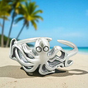  t[ TCY O sL[ gD[O w Vo[ 925 ^R  w w g[ ̎w wO  fB[X Y fourm NX}X Xmas Christmas j  bs