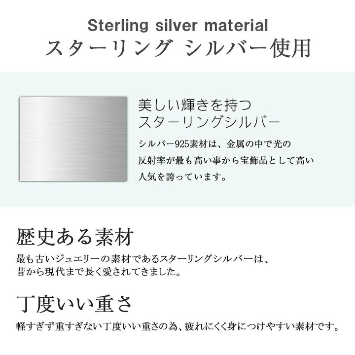 楽天市場 シルバー925 ペンダント ネックレス 名前 日付 四字熟語 好きなメッセージ 言葉が刻印できる 誕生石が入る ドッグタグ カレッジリング風 スクールリング風 シルバーペンダント メンズアクセサリー 男性用 シルバーアクセサリー ペアリングと刻印の専門店