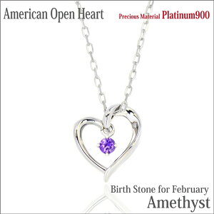 AWXg v`i lbNX Pt900 VR I[vn[g AJX^C y_ggbv 2 a΃AVXg AM[ɗD AVXg fourm NX}X ̓ fB