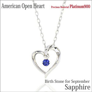 Tt@CA lbNX Tt@C v`i Pt900 VR I[vn[g AJX^C y_ggbv 9 a AM[ɗD Vv Y fB[X 傫 TCY