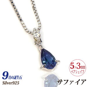 Tt@CA 9 a lbNX Vo[925 SV925 yAVFCv XCO VR_C\ `F[I\  Vv 2 Y fB[X zCgf[ Ԃ   