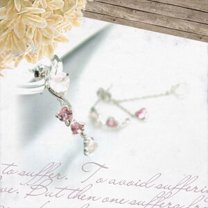 sAX K14 zCgS[h [YNH[c sNg} 2way p h  ̓ fourm NX}X zCgf[ Mtg fB[X Y j  bsO   a