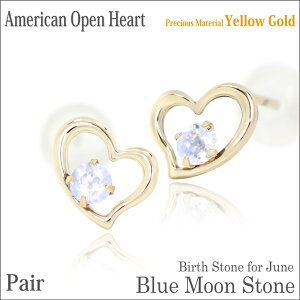 u[[Xg[ sAX K10 CG[S[h p I[vn[g AJX^C 6 a fourm NX}X Mtg ̓ fB[X Y j  bsO   