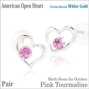 sNg} sAX K10 zCgS[h p I[vn[g AJX^C 10 a fourm NX}X Mtg ̓ fB[X Y j  bsO   a