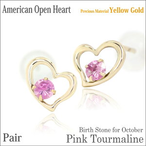 sNg} sAX K10 CG[S[h p I[vn[g AJX^C 10 a fourm NX}X Mtg ̓ fB[X Y j  bsO   a