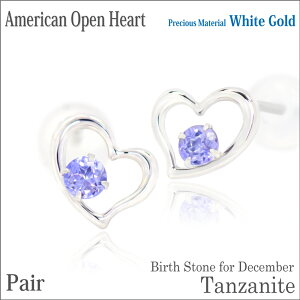 ^UiCg sAX K10 zCgS[h p I[vn[g AJX^C 12 a fourm NX}X Mtg ̓ fB[X Y j  bsO   a v