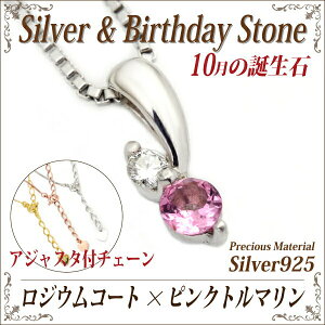 sNg} 10 a lbNX Vo[ 925 SV925  AWX^t`F[t WER[eBOf  fourm NX}X ̓ fB[X Y j  bs