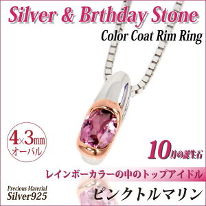 sNg} 10 a lbNX Vo[ 925 SV925 J[R[g  IׂJ[R[g `F[  fourm NX}X Xmas Christmas fB[X Y j  bsO 