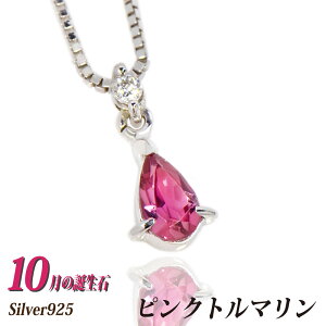 10 a lbNX sNg} Vo[925 SV925 yAVFCv XCO VR_C\ `F[I\  Vv 2 Y fB[X zCgf[ Ԃ  