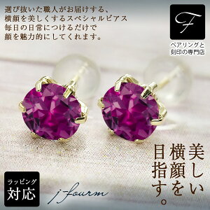 [hCgK[lbg sAX ^6{ 5mm K10CG[S[h YG 1 a΃NX}X Mtg Xmas fB[X Y j  bsO   a v[g P[X  ؚ 