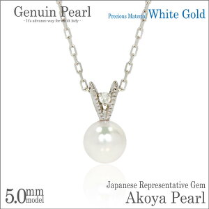 K10 zCgS[h 5mm  {^ AR^ V_C y_ggbv lbNX 6 a 40cm fourm NX}X Xmas Christmas fB[X Y j  bsO   a v