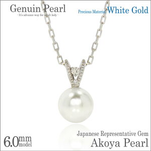 K10 zCgS[h K10 6mm  {^ AR^ V_C y_ggbv lbNX 6 a 40cm fourm NX}X Xmas Christmas fB[X Y j  bsO   a 