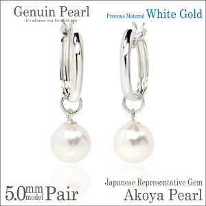 {^ AR p[ `[ Xibv sAX K10zCgS[h WG 5mm t[v 10mm p fourm fB[X Y j  bsO   a v[g P[X  ؚ 