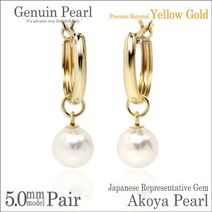 {^ AR p[ `[ Xibv sAX K10CG[S[h YG 5mm t[v 10mm p fourm fB[X Y j  bsO   a v[g P[X  ؚ 