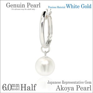 {^ AR p[ `[ Xibv sAX K10zCgS[h WG 6mm t[v 13mm Ўp fourm fB[X Y j  bsO   a v[g P[X  ؚ 