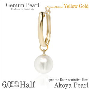{^ AR p[ `[ Xibv sAX K10CG[S[h YG 6mm t[v 13mm Ўp fourm fB[X Y j  bsO   a v[g P[X  ؚ 