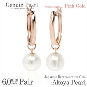 {^ AR p[ `[ Xibv sAX K10sNS[h PG 6mm t[v 13mm p fourm fB[X Y j  bsO   a v[g P[X  ؚ  