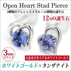 ^UiCg sAX K10WG zCgS[h I[vn[g p 5 a  X^bh n[g 10  fourm NX}X ̓ fB[X  a v[g ؚ  