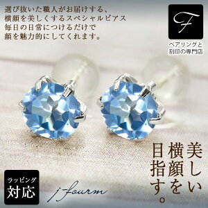 u[gp[Y sAX ^6{ 5mm v`i 900 11 a΃NX}X Mtg Xmas fB[X Y j  bsO   a v[g P[X  ؚ   莆