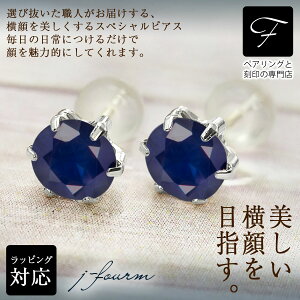 Tt@CA sAX ^6{ 5mm K10 zCgS[h 9 a΃NX}X Mtg Xmas fB[X Y j  bsO   a v[g P[X  ؚ   