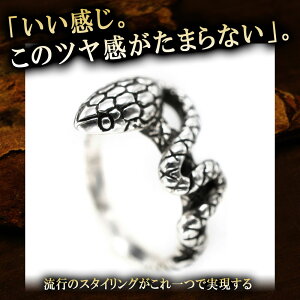 Vo[O Xl[NO  ւ w ঒ Xl[N