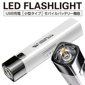 【 スーパーセール 対象商品 】懐中電灯 led USB充電式 ledライト 屋外 防水 コンパクト 小型 キャンプ 防災 携帯 停電対策 防災グッズ f-light01