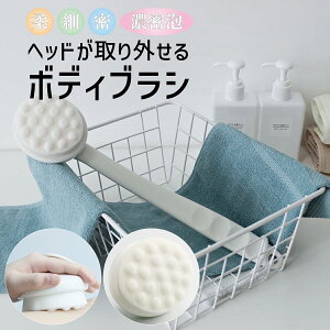 {fBuV {fB[uV w ɍז uV _炩 _炩 jLr C Onh wbhO oX C V body-brush