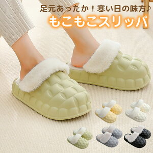  T_ [T_   C4cm  y [Xbp fB[X Y 킢  slipper