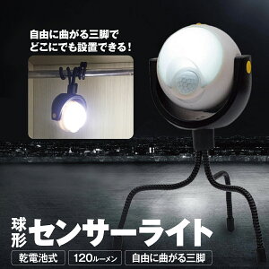 Or ZT[Cg Ԃ牺 ݂艺 h h P3dr RɋȂ Lv O  Cg senser-07