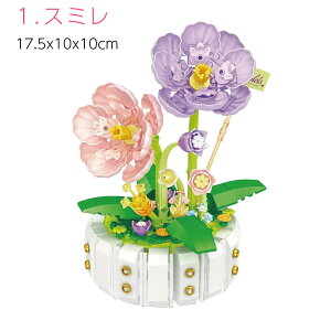 ubNt[ ̃pY gݗ CeA  t[ ubN Ђ܂ ݂ J[l[V o k G 蕨 j a ̓ v[g ͂Ȃ iɌ͂