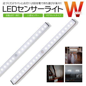 LEDライト 感知式 照明 人感 センサーライト ワイド 29.6cm ledセンサーライト 人感センサー ライト 防災グッズ 屋外 室内 小型 玄関 クローゼット 廊下 senser-02