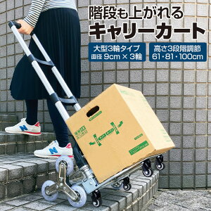 L[J[g ܂肽  L[S VbsOJ[g  RpNg AEghA Lv W[ cart-03