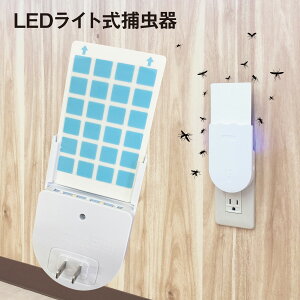 ߒ LEDCg   SV[g RZg p   nG RoG  ΍ 쏜 ߊl U U ܕsgp rO Q  Lb` Ԃ ybg mushi-led