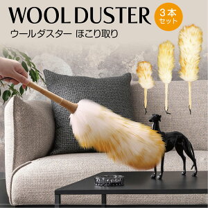 y3{Zbgz E[_X^[ S L LL 3TCYZbg ق ͂ nfBbv uV r |pi ݂艺 i` VR  wool-duster