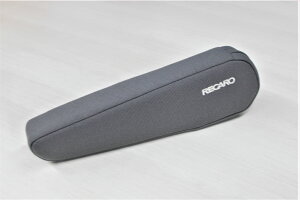 yVizJ / RECARO A[Xg TYPE-EN IS-84 ERGOMED GSh LX Eȁ^ȗp [ ti ]