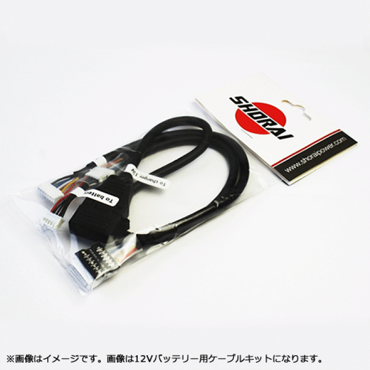 SHORAI ショーライバッテリー充電器セット⁉️ 専用充電器でリチウムバッテリーを最適保管!!〈SHORAI LiFePO4