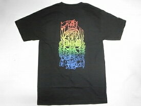 DOGTOWN ドッグタウン DRESSEN VINTAGE CLASSIC レインボー ドレッセンクロス Tシャツ 黒 ブラックxグラデーション