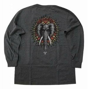 POWELL PERALTA �p�E�G�� MIKE VALLELY L/S �o�����[ �G���t�@���g �����O�X���[�u ����T �`���R�[���w�U�[
