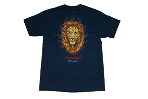 POWELL PERALTA �p�E�G�� SALMAN AGAH LION �T���}���A�K�[ ���C�I�� T�V���c NAVY ���@�l�C�r�[