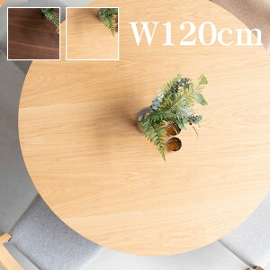 _CjOe[u  ~` e[u 4l 120cm 120 ؐ Ehe[u EH[ibg I[N a120cm 72cm uE x[W ۃe[u Pi rO ~^ ی^ ی` k Vv