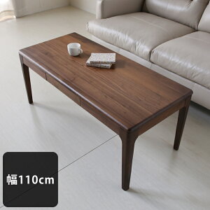 [e[u EH[ibg   C 110 s50 45cm Z^[e[u rOe[u R[q[e[u ؖ VR ؐ Vv e[u rO I uE 